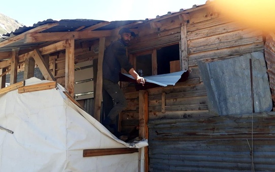 Aç kalan ayılar yayla evlerini talan etti