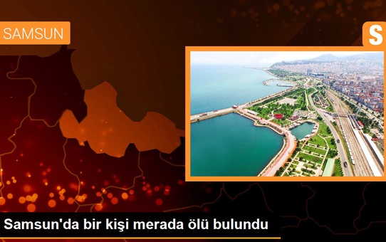 Samsun'da bir kişi merada ölü bulundu