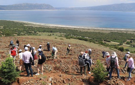 Salda Gölü kenarına 300 fidan dikildi