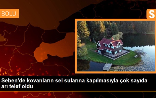 Son dakika haberleri: Seben'de kovanların sel sularına kapılmasıyla çok sayıda arı telef oldu