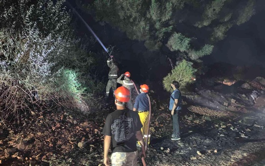 Kuru otların tutuşmasıyla başlayan yangın ormana ulaşamadan söndürüldü