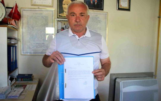 Gölge yapıyor diye cami bahçesindeki çeyrek asırlık ağaçları kestiler