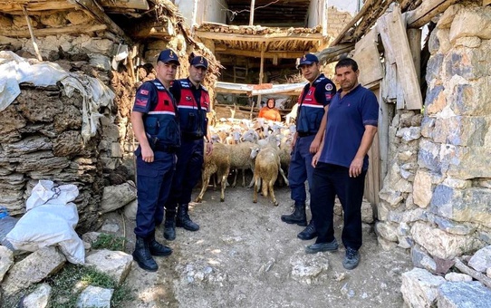 Piyasa değeri yaklaşık 200 bin TL olan hayvanlar üç günde bulundu