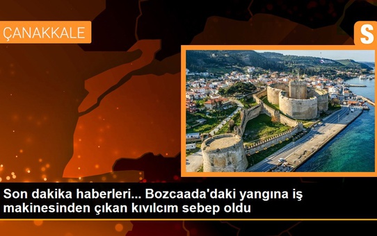 Bozcaada'daki yangına iş makinesinden çıkan kıvılcım sebep oldu