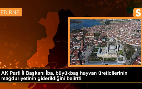 AK Parti İl Başkanı İba, büyükbaş hayvan üreticilerinin mağduriyetinin giderildiğini belirtti