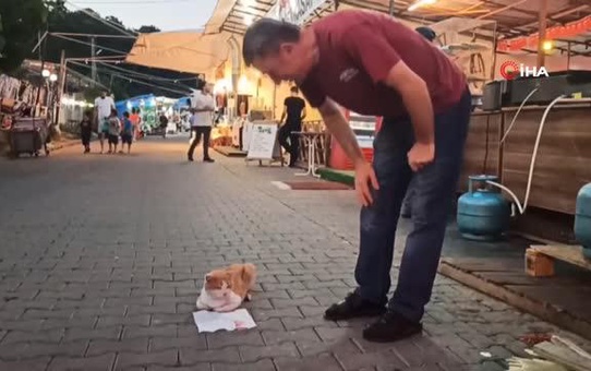 Devrek Belediyesi'nin kurduğu stantlarda hırsız şoku