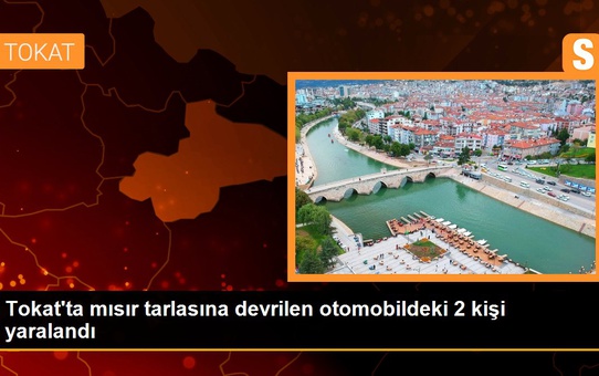 Tokat'ta mısır tarlasına devrilen otomobildeki 2 kişi yaralandı