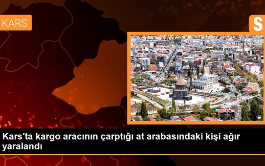 Kars'ta kargo aracının çarptığı at arabasındaki kişi ağır yaralandı