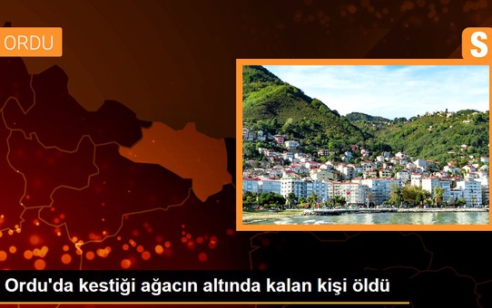 Ordu'da kestiği ağacın altında kalan kişi öldü