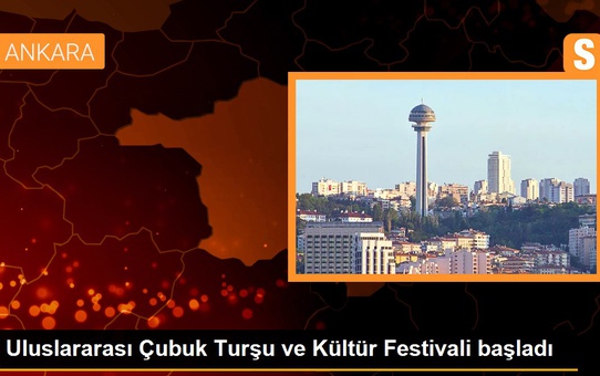 Uluslararası Çubuk Turşu ve Kültür Festivali başladı