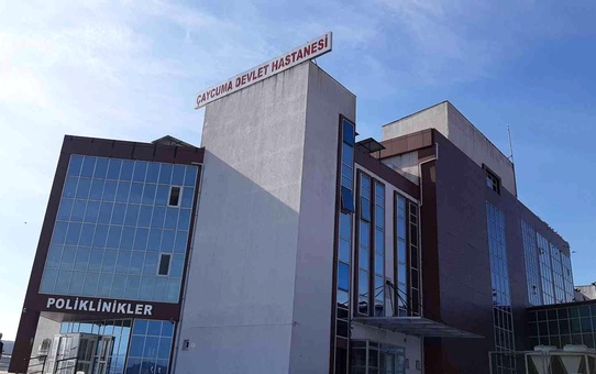 Karbonmonoksit gazından zehirlenen kadın öldü