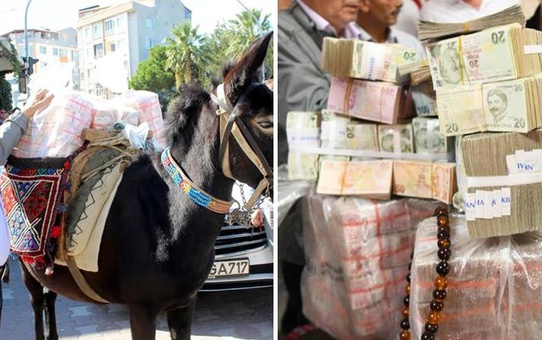 Çanakkale'de katırla 1 milyon 17 bin lira getiren güreş ağası, parayı belediye başkanına teslim etti