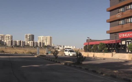 Son dakika haberleri! GAZİANTEP - Sahiplendiği 3 köpeğin ölümüne neden olan sürücülerden şikayetçi oldu