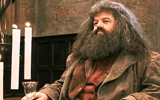 Robbie Coltrane... HARRY POTTER OYUNCUSU HAYATINI KAYBETTİ!