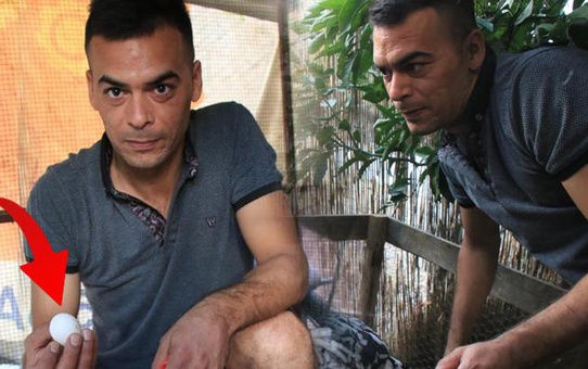 Mersin'de bir süs tavuğu üreticisi, yumurtanın tanesini 150 lirayı bulan fiyatlara satıyor