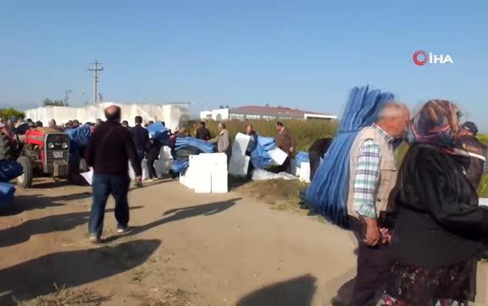 Balıkesir'de Büyükşehir'den zeytin üreticilerine tente ve zeytin kasası desteği