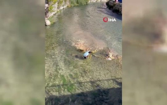 Soğuk havada Çoruh'un serin sularına girerek ağaç parçalarını topladı