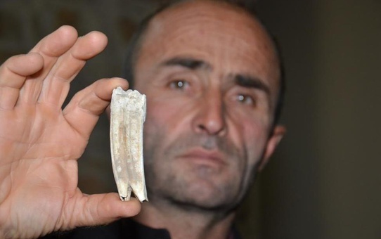 Kahramanmaraş'ta 16 milyon yıllık keşif! Kuzu otlatırken bulduğu cismin ne olduğunu öğrenince şaşkınlığını gizleyemedi