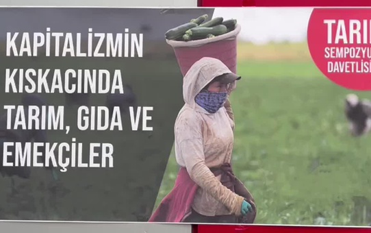 Polatlılı Çiftçi: Eve Bir Kilo Soğanı Artık Pazardan Götürüyoruz. Köylerimizde Genç Nüfus Kalmadı, Kimse Çiftçilik Yapmak İstemiyor
