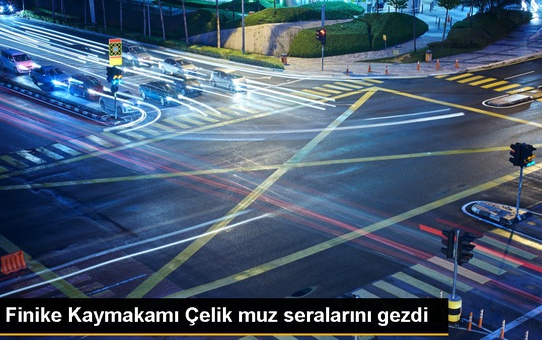 Finike Kaymakamı Çelik muz seralarını gezdi