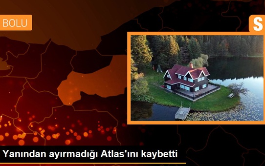 Yanından ayırmadığı Atlas'ını kaybetti