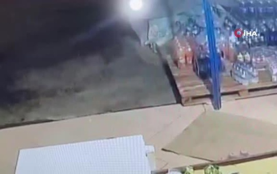 Gazipaşa'da karnı acıkan tilki markete girip yiyecek aradı