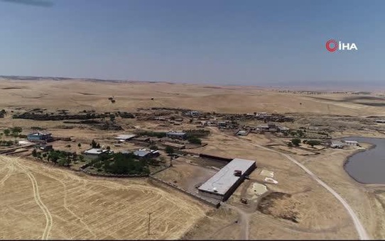 Dünyada her yıl 55 bin kişi kuduzdan ölüyor