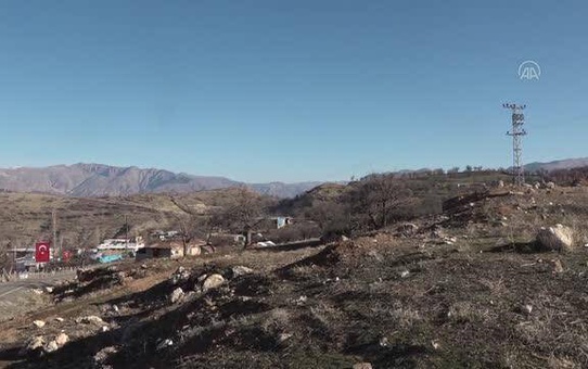 DİYARBAKIR - Terör örgütü PKK'nın Hamzalı'da katlettiği 23 kişi törenle anıldı