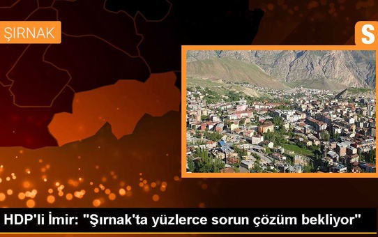 HDP'li İmir: 'Şırnak'ta yüzlerce sorun çözüm bekliyor'