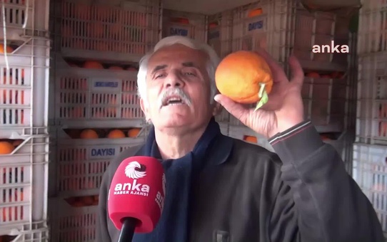Sinoplu Pazarcı: 'Ben Portakalın 3 Kilosunu 45 TL'den Sattığım Zaman Benim Karım 4-5 Tl. Para Mıdır Bu?'