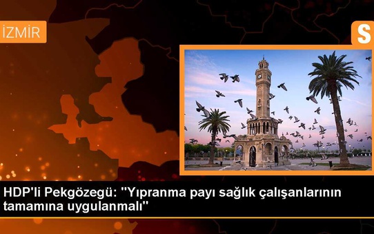 HDP'li Pekgözegü: 'Yıpranma payı sağlık çalışanlarının tamamına uygulanmalı'