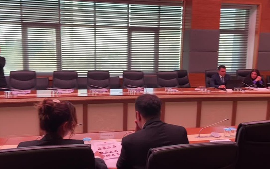 Yapı İşleri Genel Müdürü, TBMM Deprem Araştırma Komisyonu'nda Yapı Denetimdeki Usulsüzlüğü Anlattı.