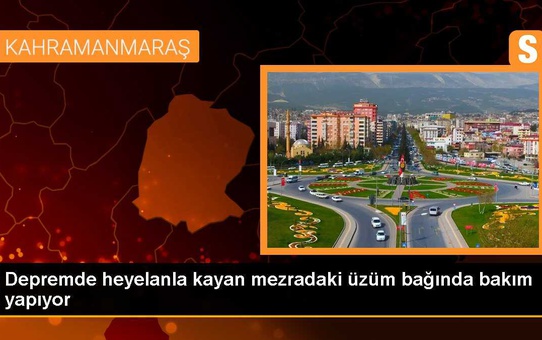 Depremde heyelanla kayan mezradaki üzüm bağında bakım yapıyor