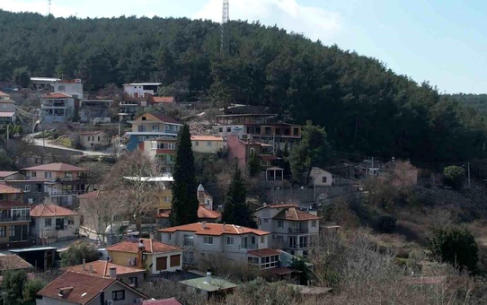 İzmir'in Bornova ilçesindeki Çiçekli Köyü'nün tarihi camisi ve ormanı korunuyor