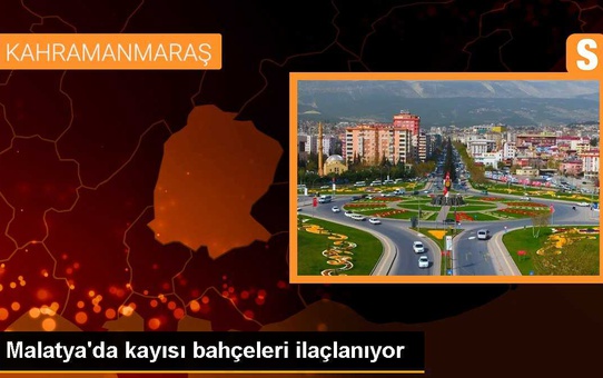 Malatya'nın Akçadağ ilçesinde depremin etkisiyle kayısı üreticileri ilaçlama yapıyor