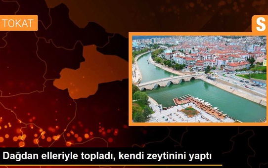Veteriner Hekim Dağdan Topladığı Yabani Zeytinleri Salamura Yaparak Tüketiyor