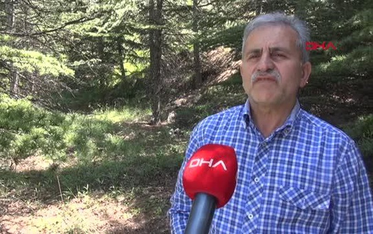 TOKAT-PROFESÖRDEN 'ÖLÜM MELEĞİ' MANTARI UYARISI