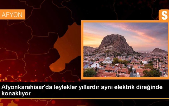 Sandıklı'da leylekler 15 yıldır aynı elektrik direğine yuva yapıyor