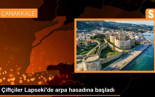 Çiftçiler Lapseki'de arpa hasadına başladı