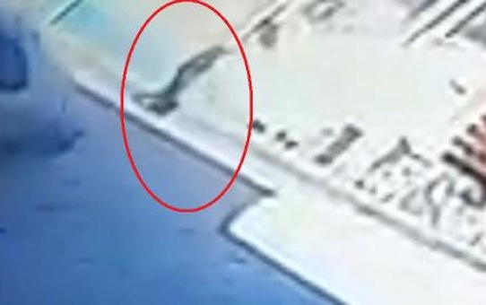 Ordu'da namaz için camiye giden yaşlı adam otomobilin çarpması sonucu hayatını kaybetti