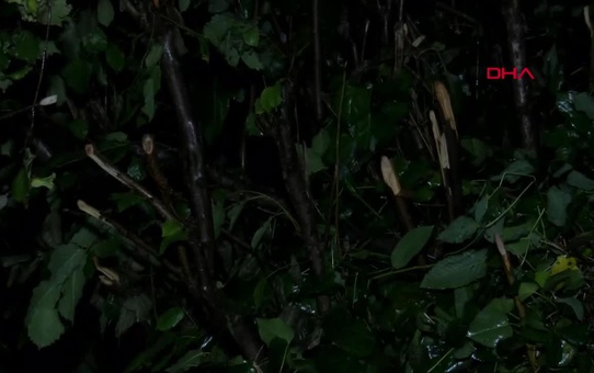 Ordu Fatsa'da Dereye Düşen Kadın Kayboldu