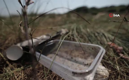 Aras Kargo ve TVF, kıyı temizliği etkinliği gerçekleştirdi