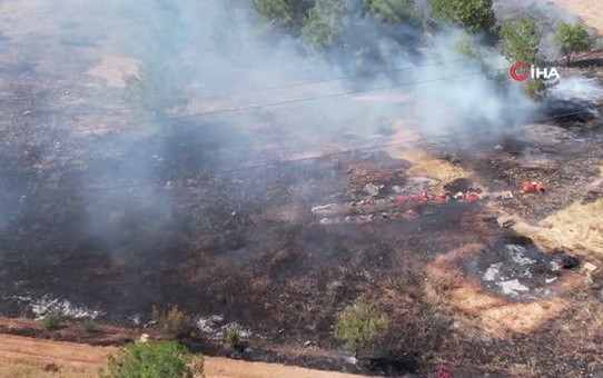 Ormana sıçrayan yangın 3 saatte kontrol altına alındı