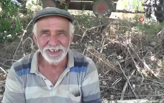 Aydın Ovası'nda çiftçilerin 44 derece sıcakta ekmek mücadelesi