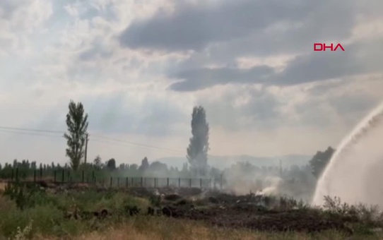 İtfaiye eri, yangında ölen kaplumbağa ve yılanı kurtaramamanın üzüntüsünü yaşadı