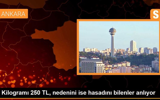 Kilogramı 250 TL, nedenini ise hasadını bilenler anlıyor