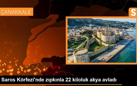 Saros Körfezi'nde zıpkınla 22 kiloluk akya avladı
