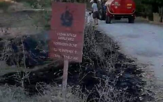 Edirne'nin Elçili köyünde tarlada çıkan yangın köy sakinlerinin müdahalesiyle söndürüldü