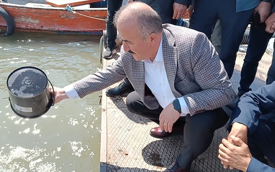 Tokat'ta Almus Baraj Gölü'ne 800 Bin Yavru Sazan Bırakıldı