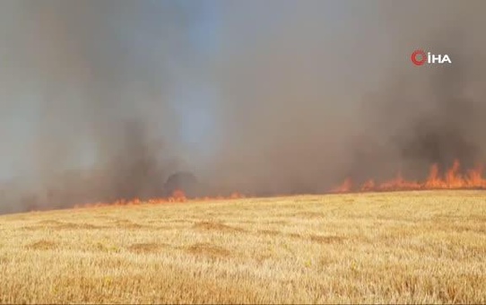 Çorum'da 15 bin dönüm arazi küle döndü, köylüye isyan